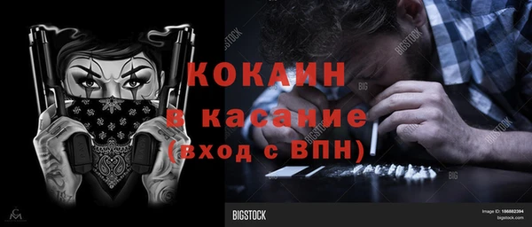 стаф Алзамай
