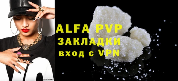 стаф Алзамай
