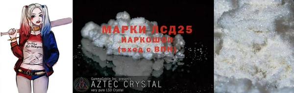 стаф Алзамай