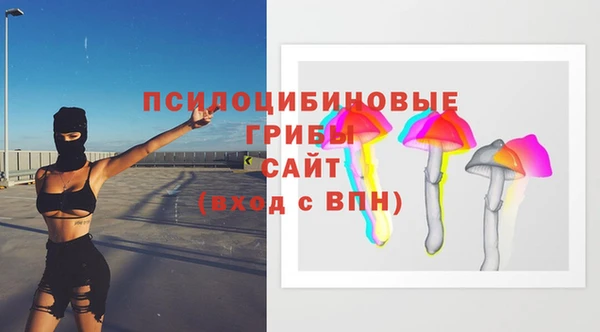 стаф Алзамай