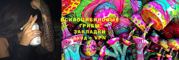 дурь Алексеевка