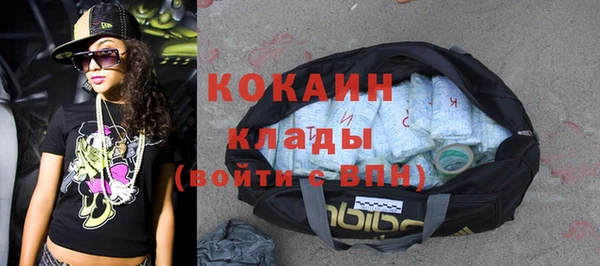сатива Абаза