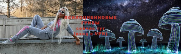сатива Абаза