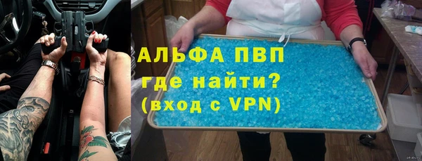 стаф Алзамай
