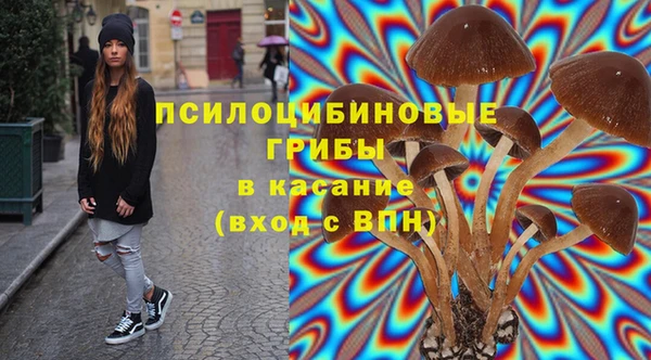 дурь Алексеевка