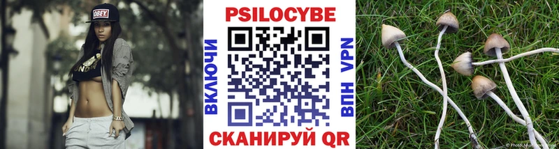наркошоп Ухта Псилоцибиновые грибы Magic Shrooms