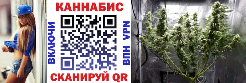 MEGA ONION  Ухта  Канабис индика 